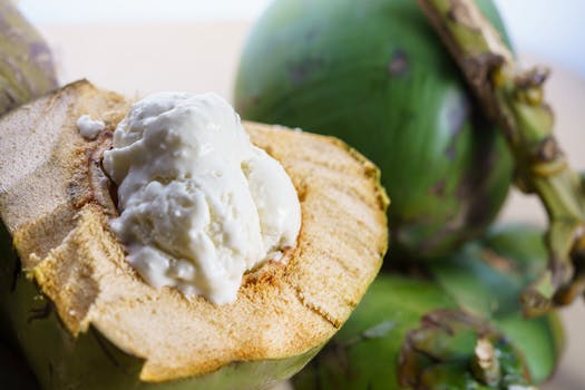 Bobó de Cogumelo Vegano