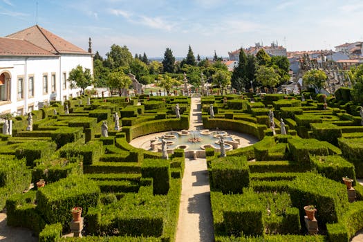 Sopa de Feijão Branco com Linguiça